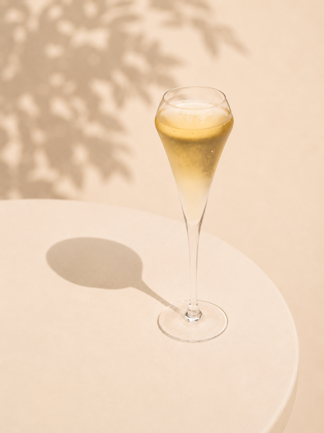 Drinksome Dry Sparking Wine